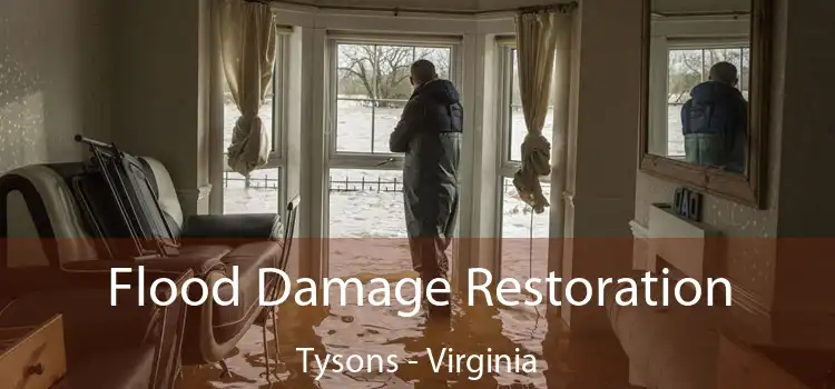 Flood Damage Restoration Tysons - Virginia