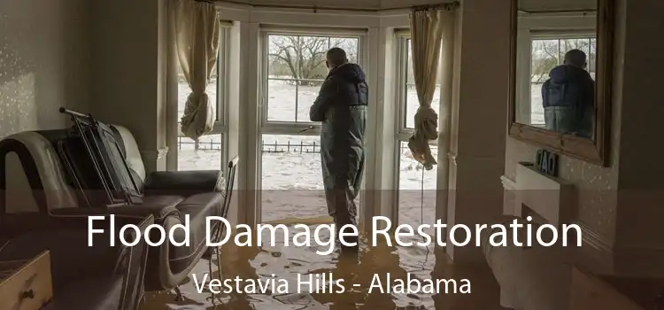 Flood Damage Restoration Vestavia Hills - Alabama