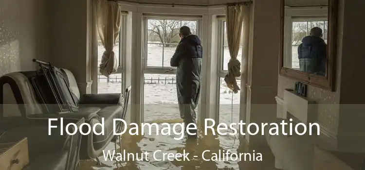 Flood Damage Restoration Walnut Creek - California