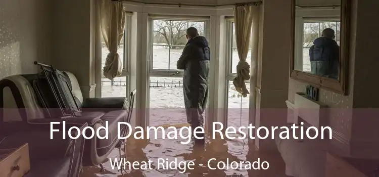 Flood Damage Restoration Wheat Ridge - Colorado