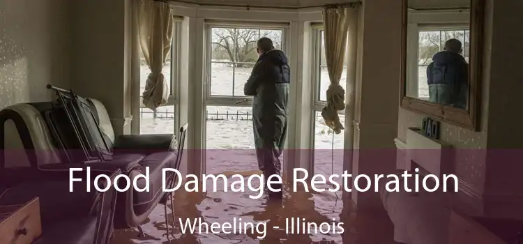 Flood Damage Restoration Wheeling - Illinois