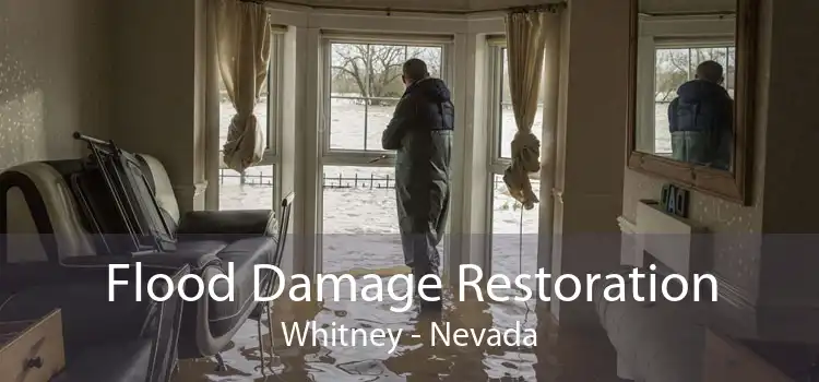 Flood Damage Restoration Whitney - Nevada