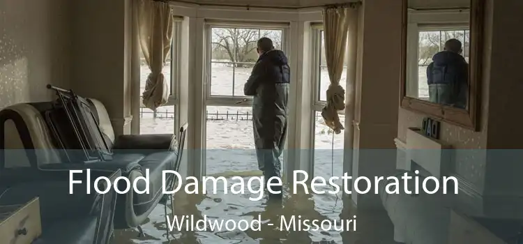 Flood Damage Restoration Wildwood - Missouri