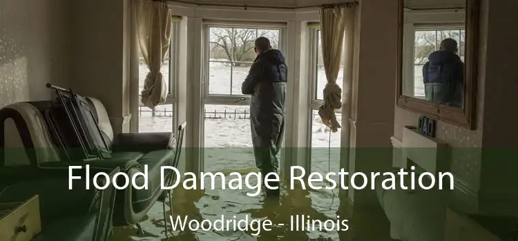 Flood Damage Restoration Woodridge - Illinois