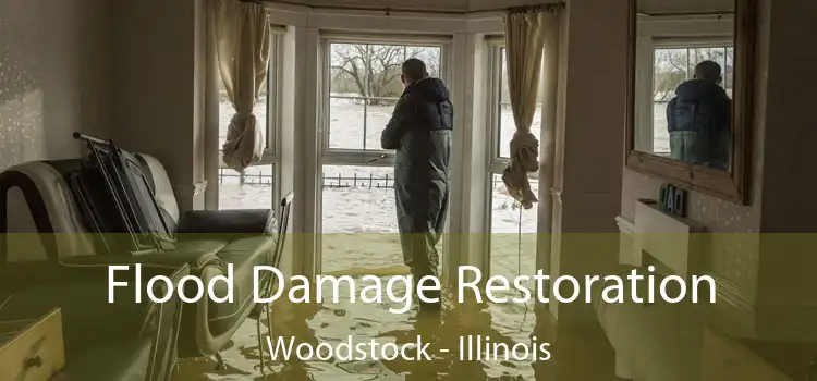 Flood Damage Restoration Woodstock - Illinois