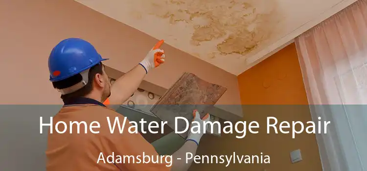 Home Water Damage Repair Adamsburg - Pennsylvania