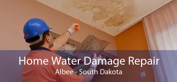Home Water Damage Repair Albee - South Dakota