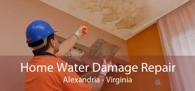 Home Water Damage Repair Alexandria - Virginia