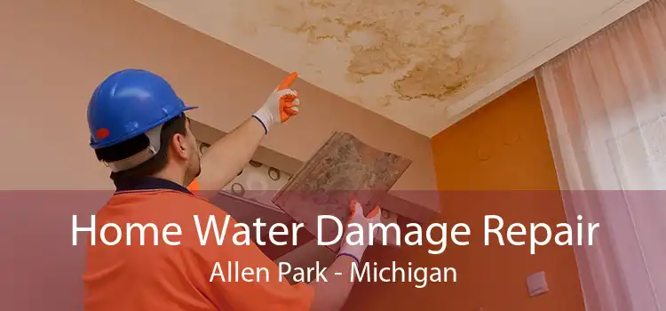 Home Water Damage Repair Allen Park - Michigan