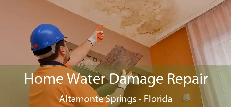 Home Water Damage Repair Altamonte Springs - Florida