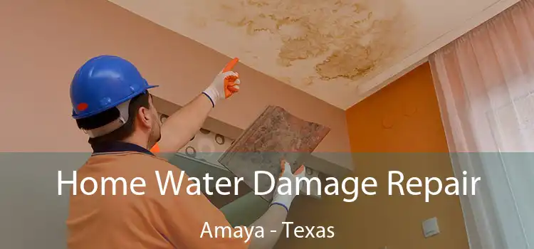 Home Water Damage Repair Amaya - Texas