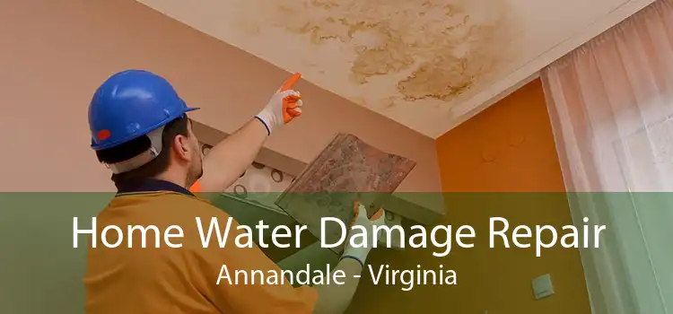 Home Water Damage Repair Annandale - Virginia