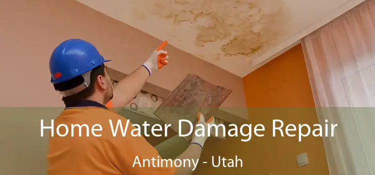 Home Water Damage Repair Antimony - Utah