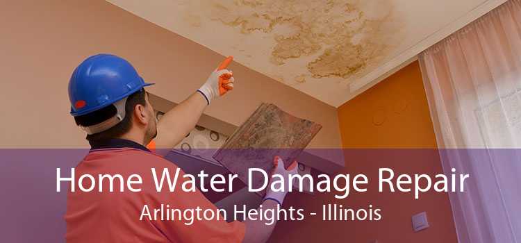 Home Water Damage Repair Arlington Heights - Illinois