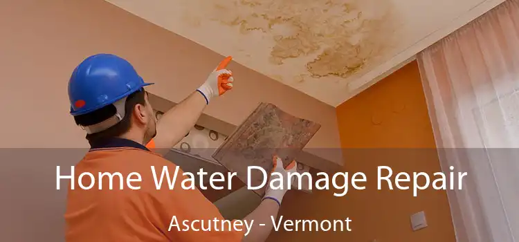 Home Water Damage Repair Ascutney - Vermont