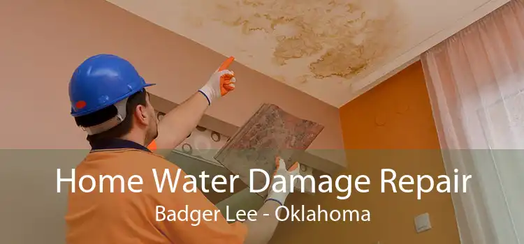 Home Water Damage Repair Badger Lee - Oklahoma