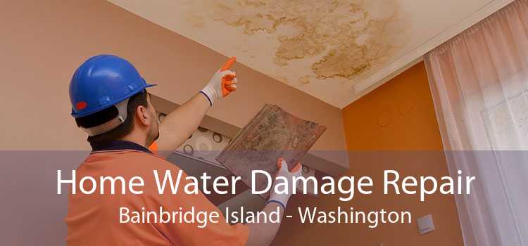 Home Water Damage Repair Bainbridge Island - Washington