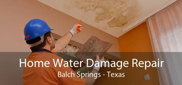 Home Water Damage Repair Balch Springs - Texas