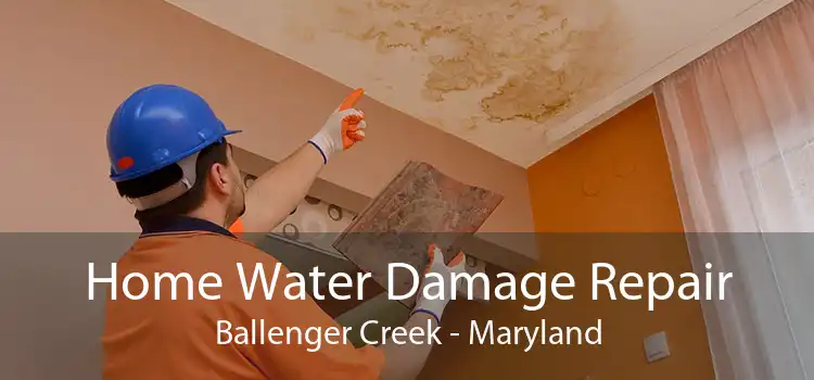Home Water Damage Repair Ballenger Creek - Maryland