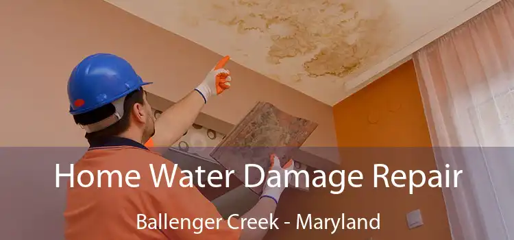 Home Water Damage Repair Ballenger Creek - Maryland