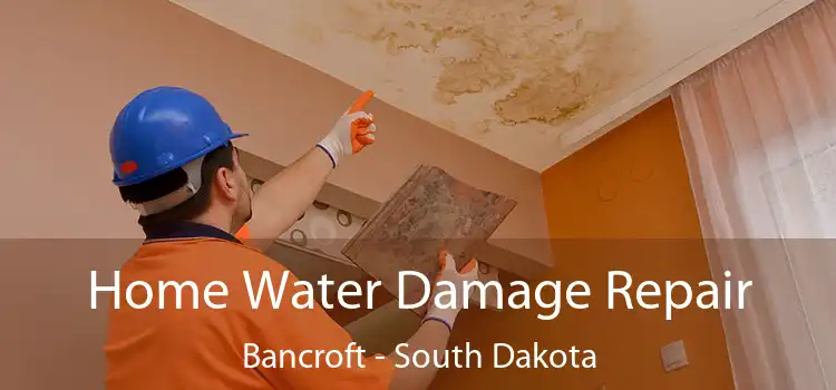 Home Water Damage Repair Bancroft - South Dakota