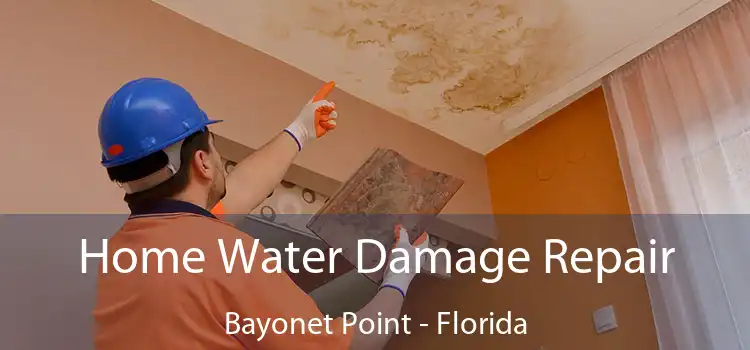 Home Water Damage Repair Bayonet Point - Florida