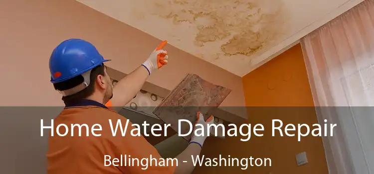 Home Water Damage Repair Bellingham - Washington