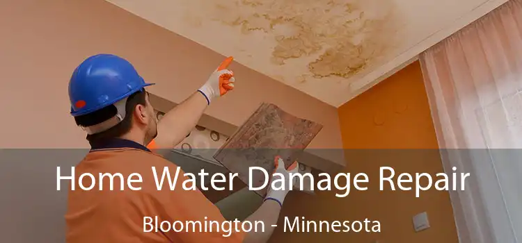 Home Water Damage Repair Bloomington - Minnesota