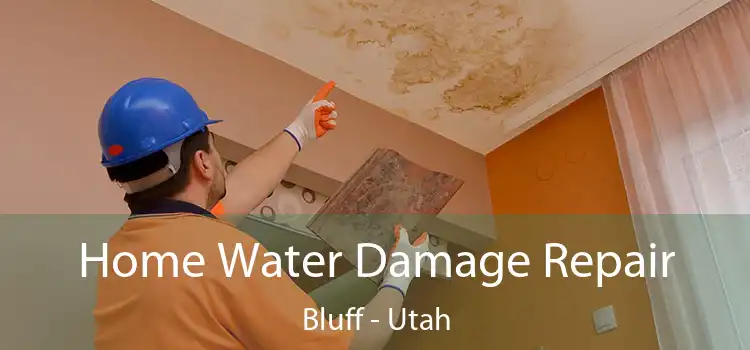 Home Water Damage Repair Bluff - Utah