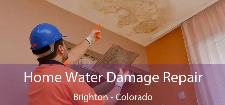 Home Water Damage Repair Brighton - Colorado