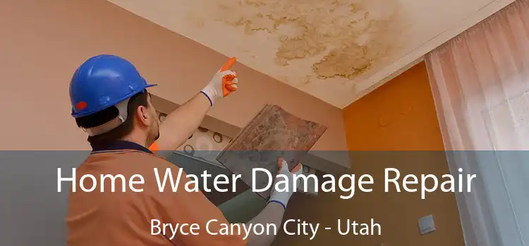 Home Water Damage Repair Bryce Canyon City - Utah