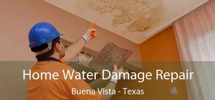 Home Water Damage Repair Buena Vista - Texas