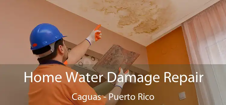 Home Water Damage Repair Caguas - Puerto Rico