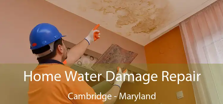 Home Water Damage Repair Cambridge - Maryland