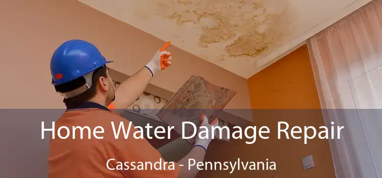 Home Water Damage Repair Cassandra - Pennsylvania