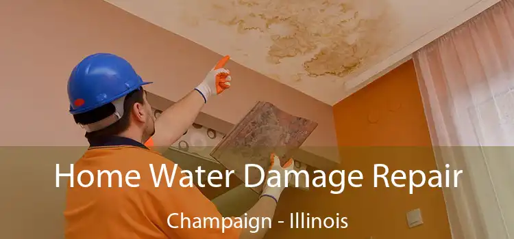 Home Water Damage Repair Champaign - Illinois