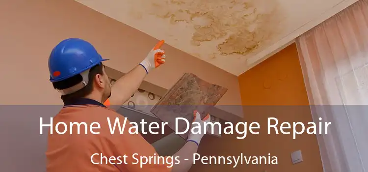 Home Water Damage Repair Chest Springs - Pennsylvania