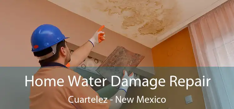 Home Water Damage Repair Cuartelez - New Mexico