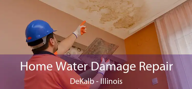 Home Water Damage Repair DeKalb - Illinois