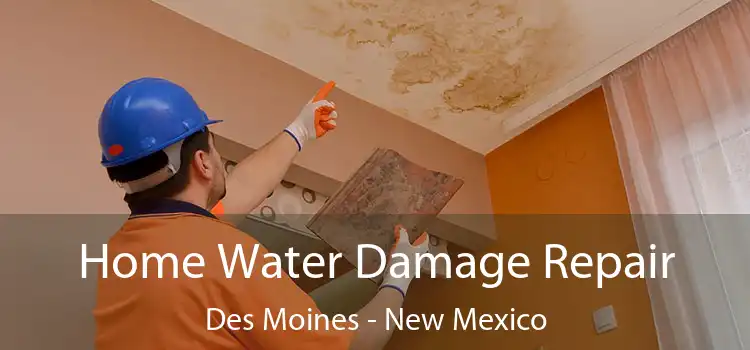Home Water Damage Repair Des Moines - New Mexico
