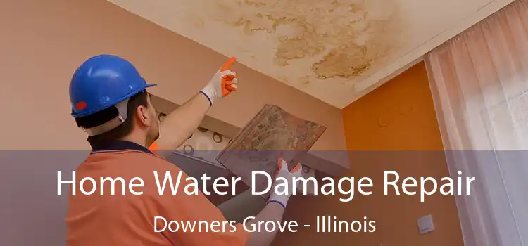 Home Water Damage Repair Downers Grove - Illinois