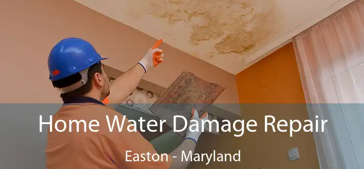 Home Water Damage Repair Easton - Maryland