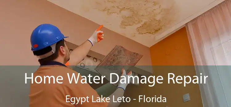 Home Water Damage Repair Egypt Lake Leto - Florida