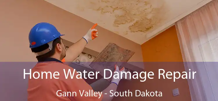 Home Water Damage Repair Gann Valley - South Dakota