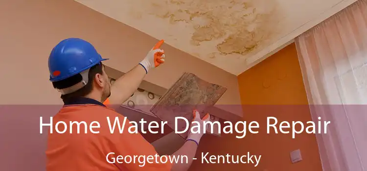 Home Water Damage Repair Georgetown - Kentucky