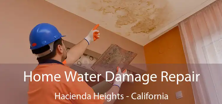 Home Water Damage Repair Hacienda Heights - California