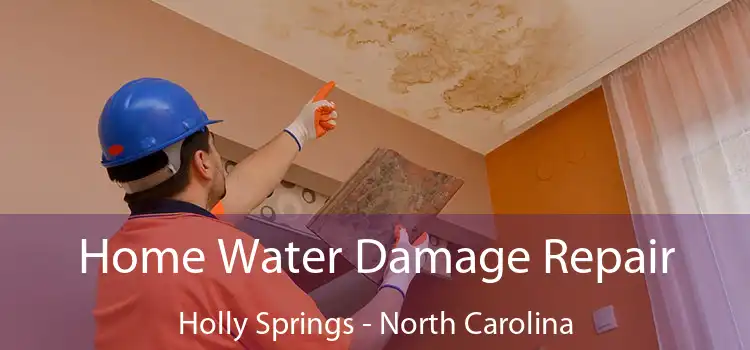 Home Water Damage Repair Holly Springs - North Carolina