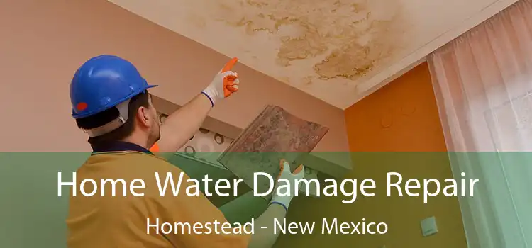 Home Water Damage Repair Homestead - New Mexico