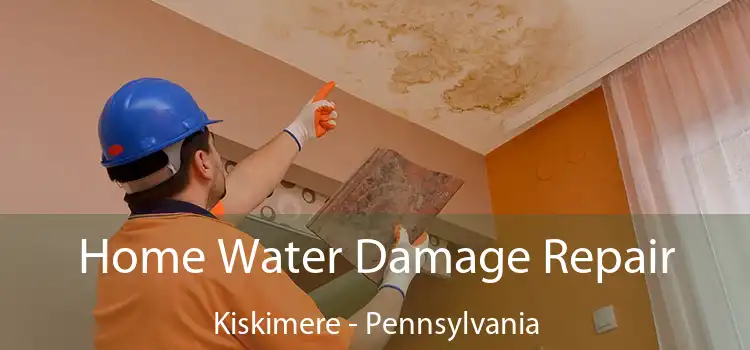 Home Water Damage Repair Kiskimere - Pennsylvania