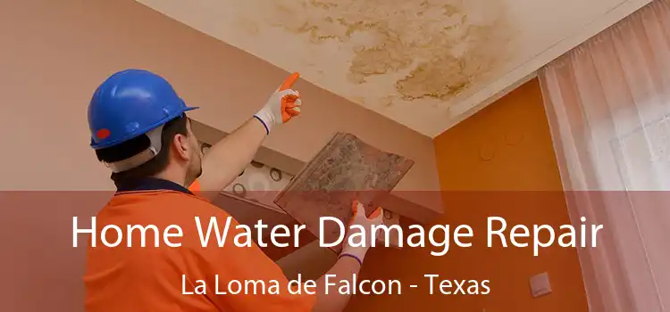 Home Water Damage Repair La Loma de Falcon - Texas